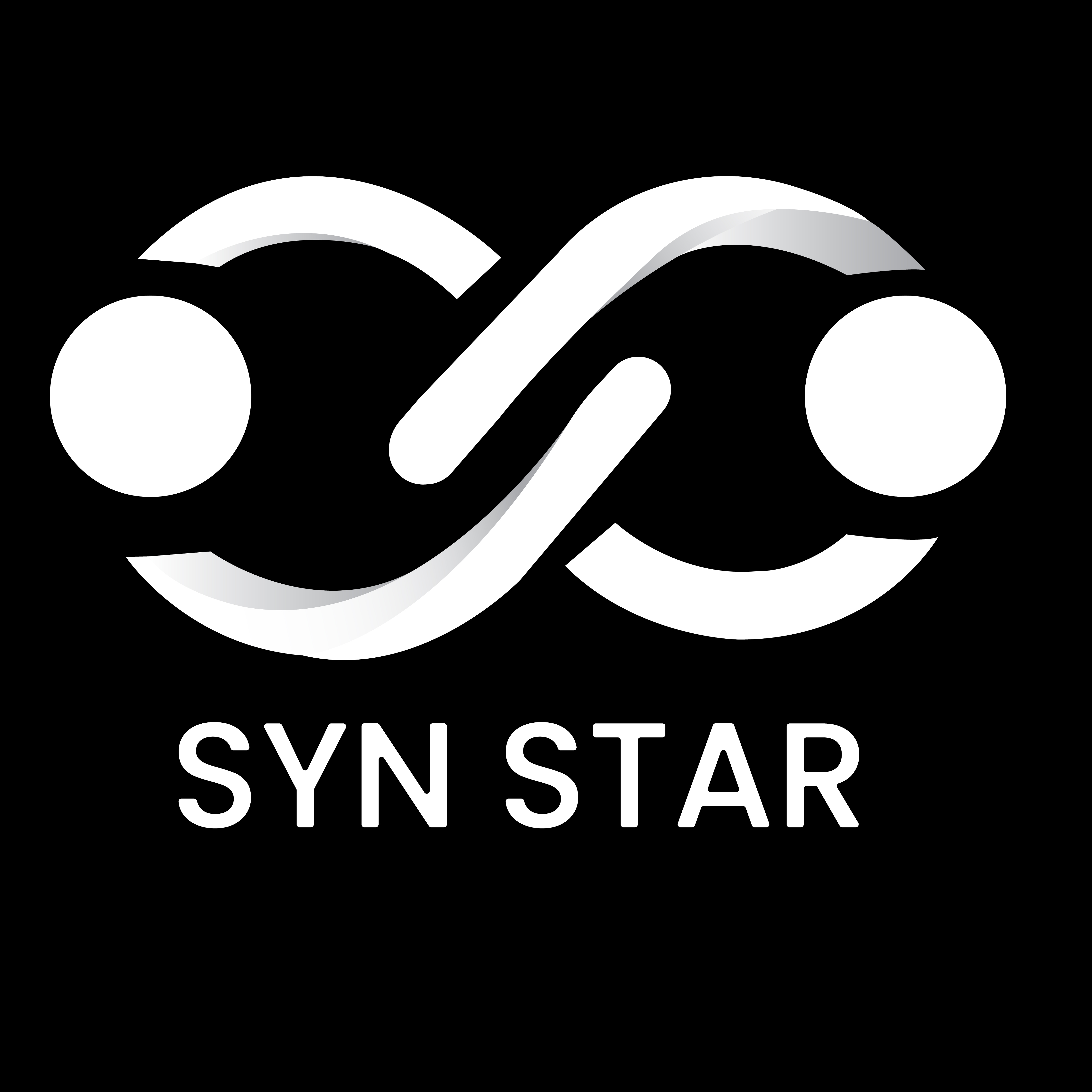 SYNSTAR STAFFING & SOFTWARE SOLUTIONS PVT LTD